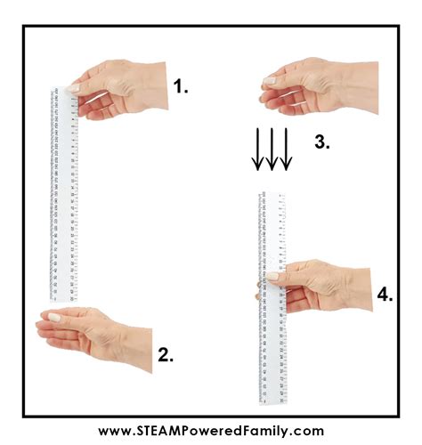 ruler test reaction time